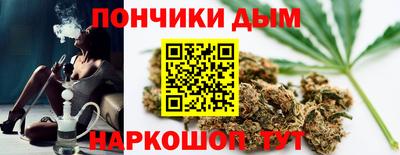 СК Краснодар