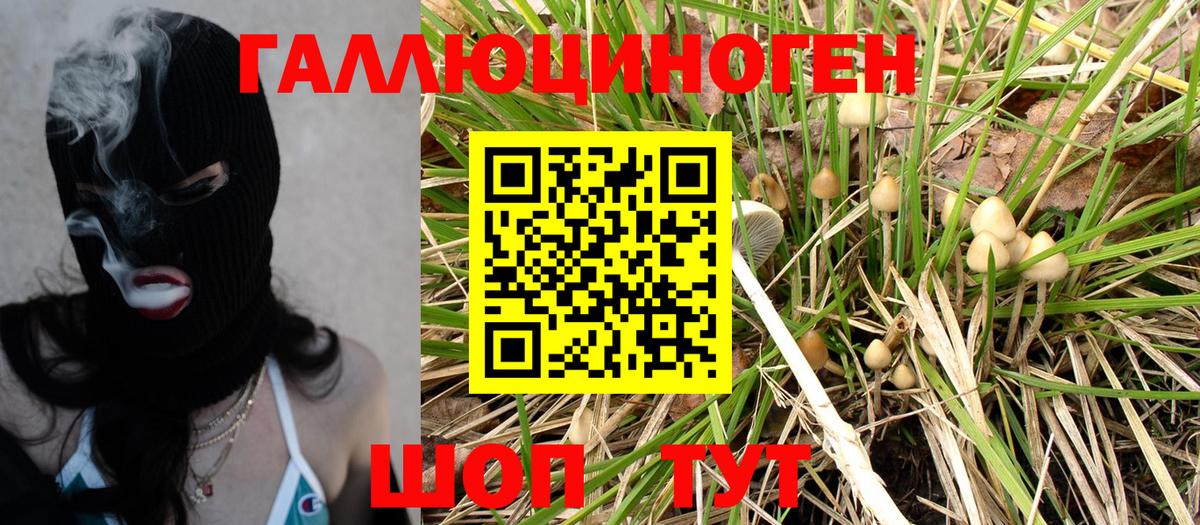 Арсеньев  Псилоцибиновые грибы MAGIC MUSHROOMS  Вход с VPN  Галлюциногенные грибы Cubensis 